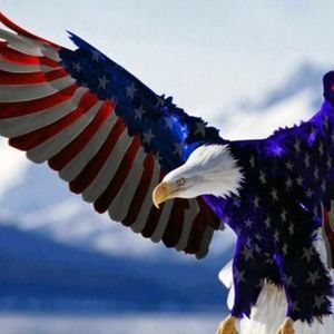 Meet your Posher, Steph